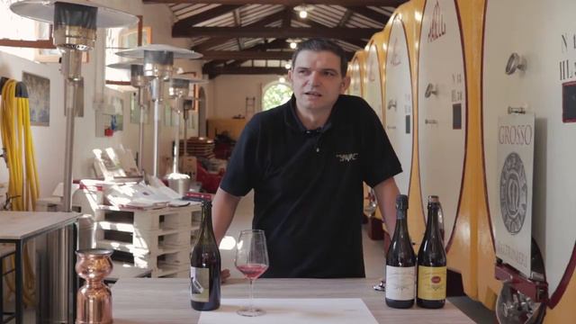 PIRIA смотреть онлайн