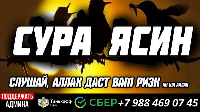 Сура Ясин. Поможет обеспечить быстрое пропитание, погасить долги, облегчить дела, ин ша Аллах !! смотреть онлайн