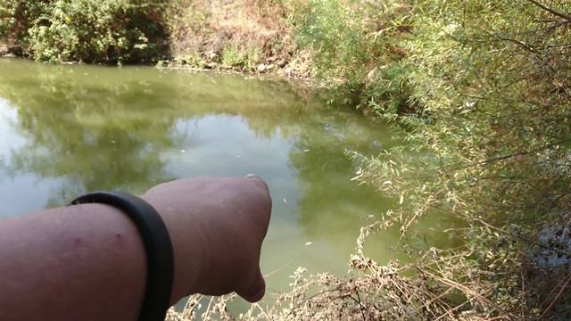 Не много о реке Иордан. смотреть онлайн