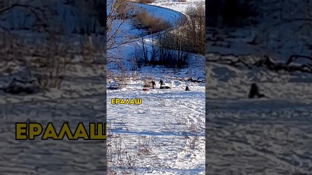 Дети сделали этот день! смотреть онлайн