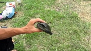 здесь рыбы НЕТ! Ловля раков на поплавочную удочку!!!