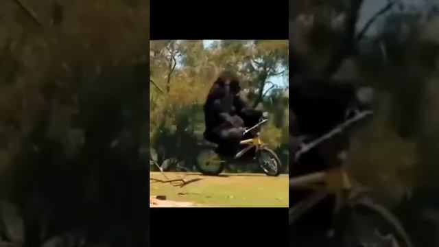 накатался смотреть онлайн
