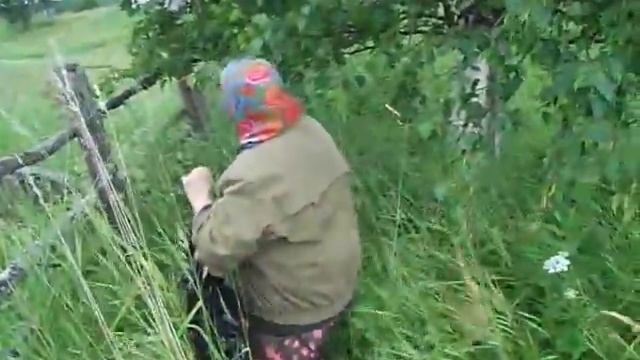 У березы у нашего дома смотреть онлайн