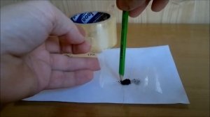 ? УГОЛЬНЫЙ МИКРОФОН  КАК СДЕЛАТЬ САМОМУ