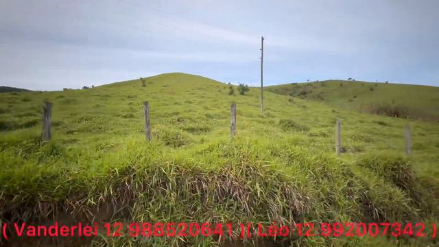 Fazenda a venda em Silveiras смотреть онлайн