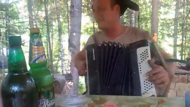 Серега и гармошка смотреть онлайн