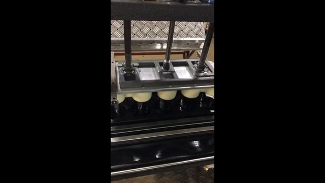 Поддоны для горшков рассады, вакуум формовочное оборудование , кассеты для рассады, горшки смотреть онлайн