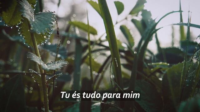 COMO SERVO (As The Deer) - Instrumental смотреть онлайн