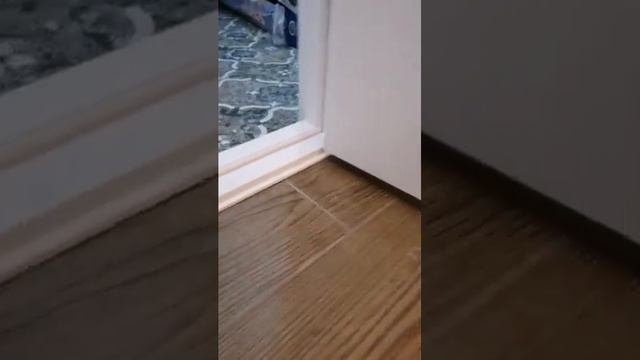 Установка одной двери в санузел, а так же оформление проёма на кухню.