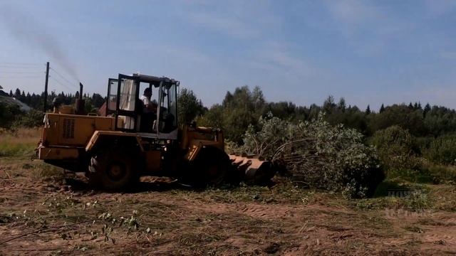 ТРАКТОР ВАЛИТ ДЕРЕВЬЯ, РАСЧИСТКА УЧАСТКА ОТ ЗАРОСЛЕЙ смотреть онлайн