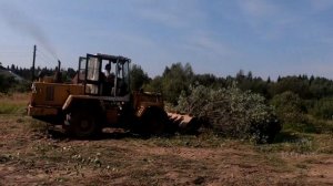 ТРАКТОР ВАЛИТ ДЕРЕВЬЯ, РАСЧИСТКА УЧАСТКА ОТ ЗАРОСЛЕЙ
