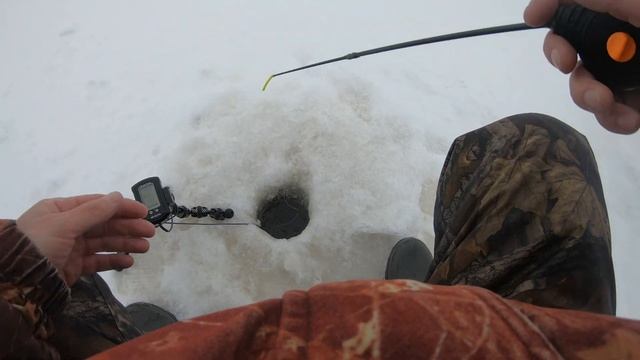 Тактика поиска судака зимой на большом озере без рельефа . Ловля судака зимой смотреть онлайн