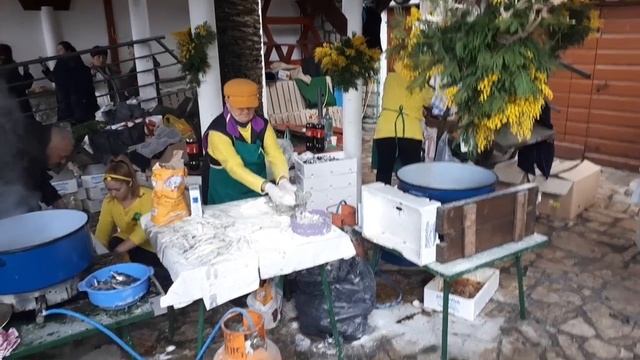 Фестиваль Мимозы 2019 Баошичи Черногория Festival Mimoza Baosisi Montenegro смотреть онлайн