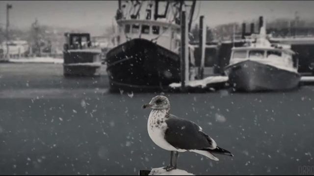 @БАЙКЕР ИЗ СКЛЕПА@ Если я прав, то мы все доживём до старости (Квантовое бессмертие)