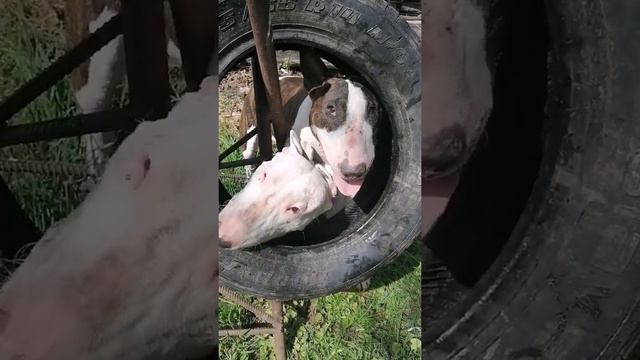 Песчаный карьер два человека.....)))) смотреть онлайн