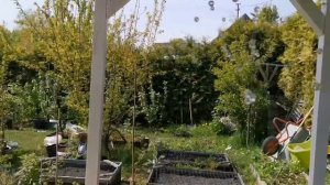 о деревянных конструкциях в саду: о перголах и о дорожках