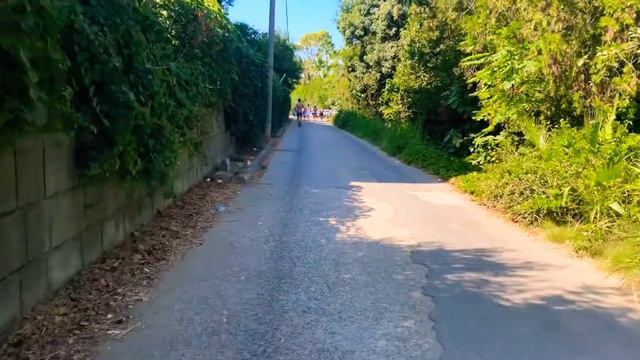 DEFNE DEFNEM 5* Дорога к море