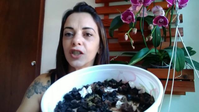 COMO REPLANTAR UMA ORQUIDEA EM PEDRA BRITA🌷🌿🎉💐 смотреть онлайн