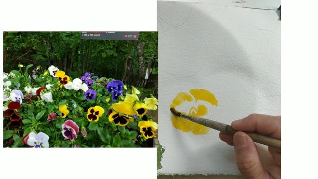 Рисуем анютины глазки 2022 смотреть онлайн