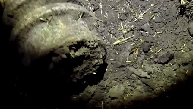 КОП МОНЕТ | ПОИСК МОНЕТ | ПОИСК КЛАДА 2019.07.28 Коп ЗОЛОТАЯ ОРДА пос. Красное. смотреть онлайн