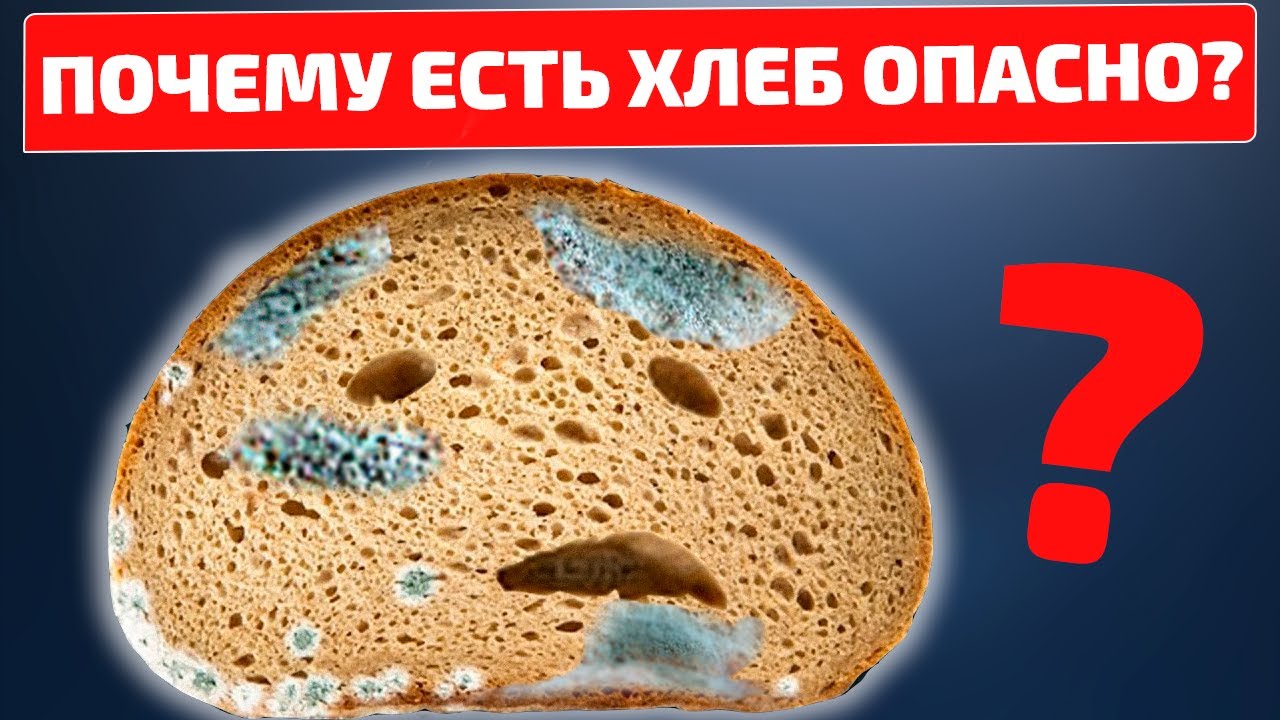 Хлеб с плесенью, обрезать или выбросить. смотреть онлайн