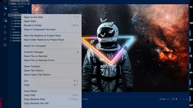 Add Title FavIcon and Description to your React Application смотреть онлайн