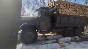 ЗИЛ 131 с дровами.
