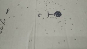 Обзор охотничьего оружия.Кучность,резкость и многое другое...#охота