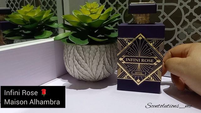 Initio Atomic Rose Dupe|Infini Rose By Maison Alhambra #perfume #initio #alhambra #perfumedupes