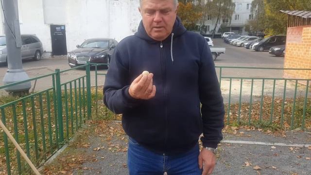 Бочча 6.10. смотреть онлайн