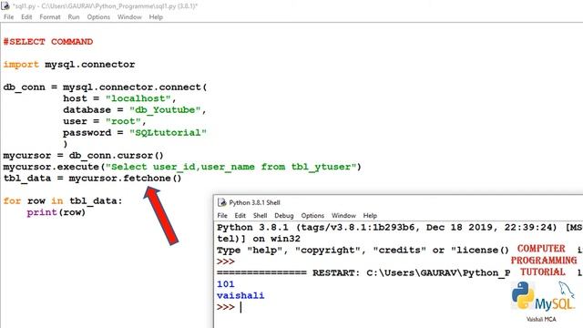 #MySQL : Select Command || Where Clause || fetchone( ) || fetchall( ) смотреть онлайн