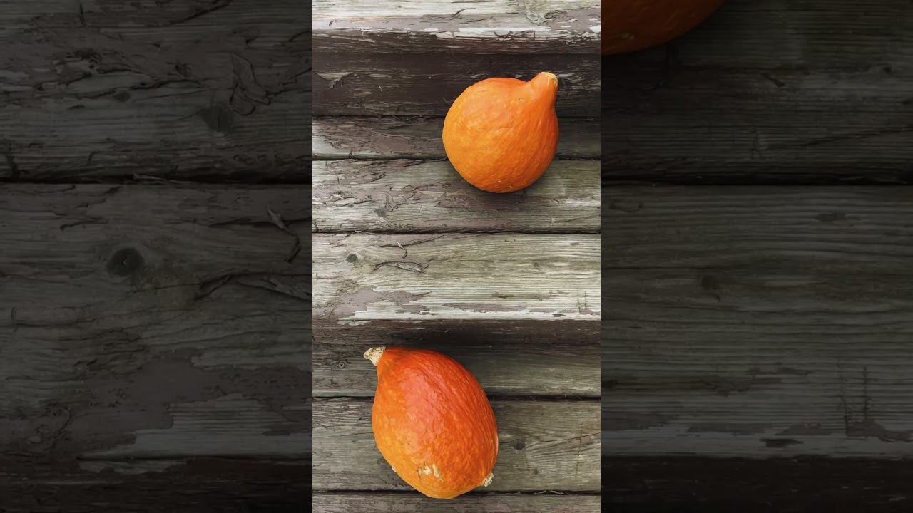 ХЭЛЛОУИН В ЛАГЕРЕ PEOPLE SCHOOL смотреть онлайн