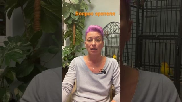 Драцена: может ли сбросить листья после пересадки? смотреть онлайн