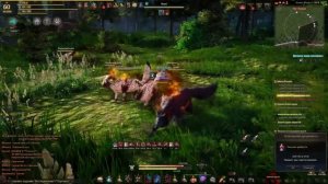 Black Desert. Куноичи гайд: Скиллы и комбинации