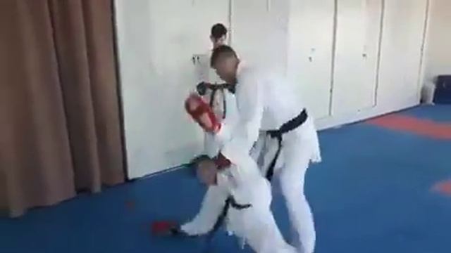 Тренировка с чемпионом по каратэ стиль шотокан. Кумитэ спаринг смотреть онлайн