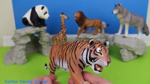 Big Cat Week 2021 - Zoo Animals - Lion Tiger Jaguar Cheetah Hippo Rhino Giraffe Zebra Panda Wolf 13 смотреть онлайн