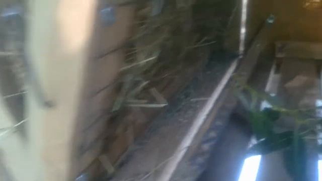 оптимально удобная клетка для крольчихи. уличное содержание смотреть онлайн