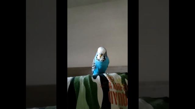 Зоопарк и есть одно фото с планитария смотреть онлайн