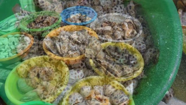 Морепродукты Вьетнам.Русское меню.