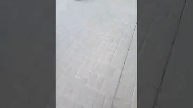 Мелкий школьник украл колонку.#₹¶∆Пранки с колонкой£°^¶₹# смотреть онлайн