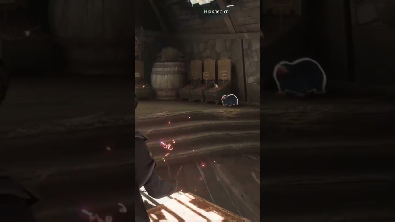 ОБЗОР Hogwarts legacy №13 #harrypotter #hogwartslegacy #ps5 смотреть онлайн