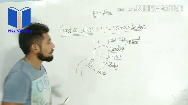 Bullet point of GIT system смотреть онлайн