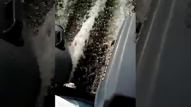 Grouper 330 Johnson 3.3