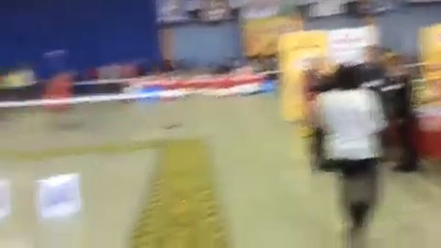 Папийоны. Моно. Пермь 25.09.2016 смотреть онлайн