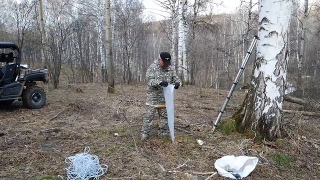 Сбор берёзового сока смотреть онлайн