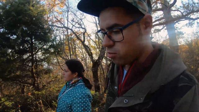 Как мы взяли собаку из приюта. Ковчег Ялта. Прогулка в лесу. смотреть онлайн