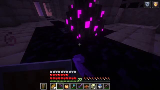 - To the END! - Minecraft - Crowd Control - interactive stream - day 4(final) w/@chtite4519 смотреть онлайн