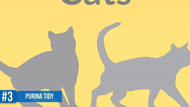Cat Litter: 5 Best Cat Litter Reviews in 2021 смотреть онлайн