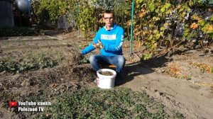 ЧТО ДЕЛАТЬ ЕСЛИ ПОЧВА КАК БЕТОН! КАК СДЕЛАТЬ ЕЁ РЫХЛОЙ И ПУШИСТОЙ