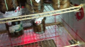 Шкаф для ферментации табака (The box for the fermentation of tobacco)